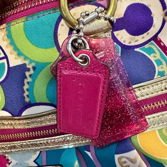 Coach Poppy C Bag Limited Edition Pop Purse Large Designer Dust Bag - Picture 5 of 16